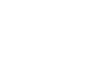 partner-skb