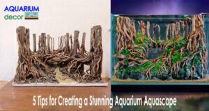 5 Tips for Creating a Stunning Aquarium Aquascape