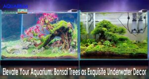 Elevate Your Aquarium Bonsai Trees as Exquisite Underwater Decor