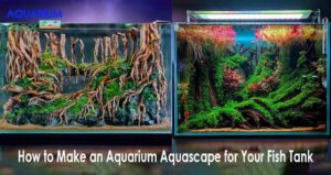 How to Make an Aquarium Aquascape for Your Fish Tank