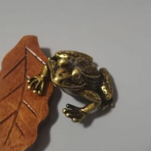 Feng Shui Money Frog Lucky Gold Toad Ornament Brass Frog 2