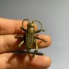 Antique and old grasshopper ornaments brass desk tea pet 0