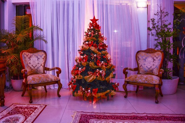 DSC_0010 (800x533).jpg