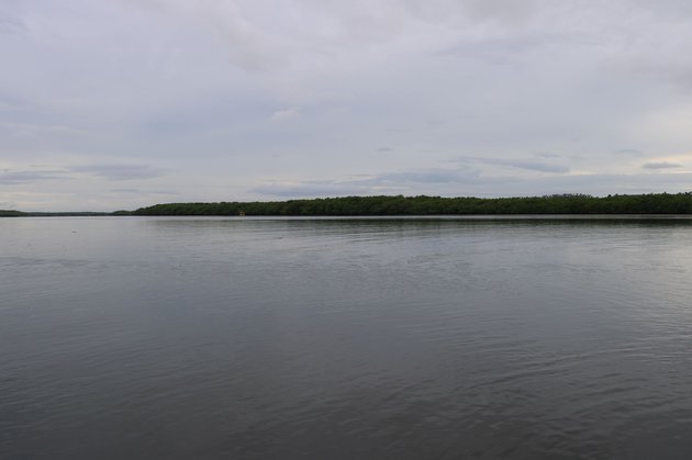 IMG_1198.JPG