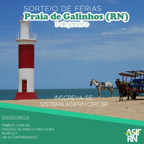 SORTEIO galinhos.jpg