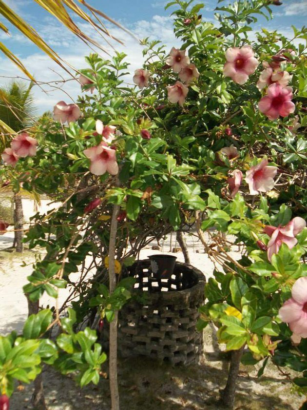 WhatsApp Image 2019-07-16 at 09.15.16 (1).jpeg