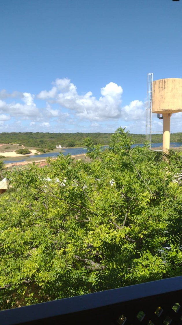 WhatsApp Image 2020-12-11 at 09.17.22.jpeg