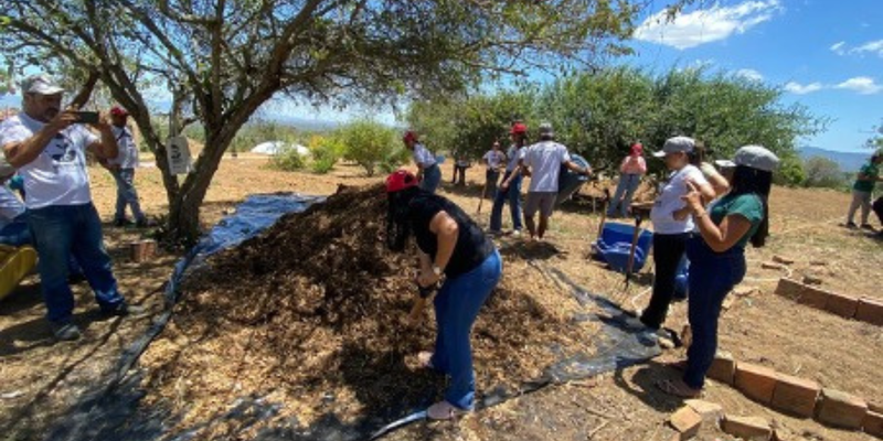 Imagem cedida pela coordenadora do projeto, Aníbia Vicente