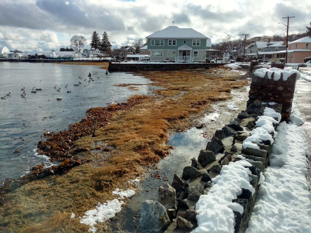 storms-report-salem-ma-mycoast