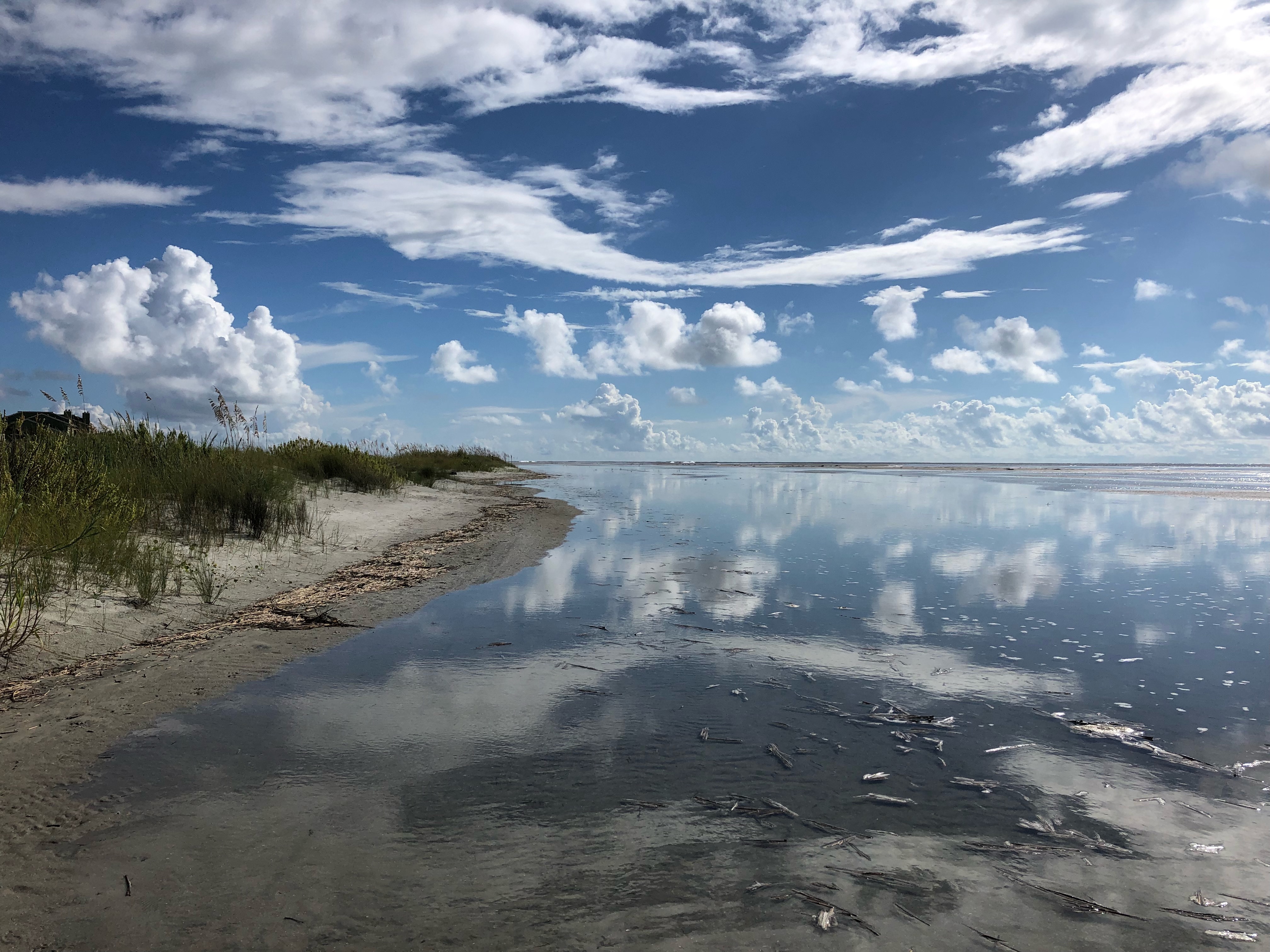 Tides Report Isle of Palms, SC MyCoast