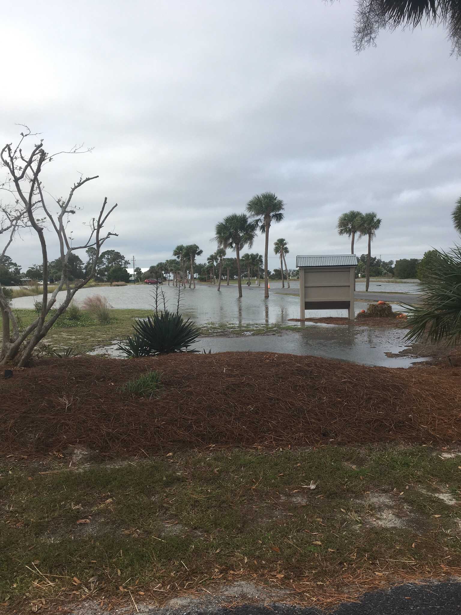 Tides Report St Helena Island, SC MyCoast