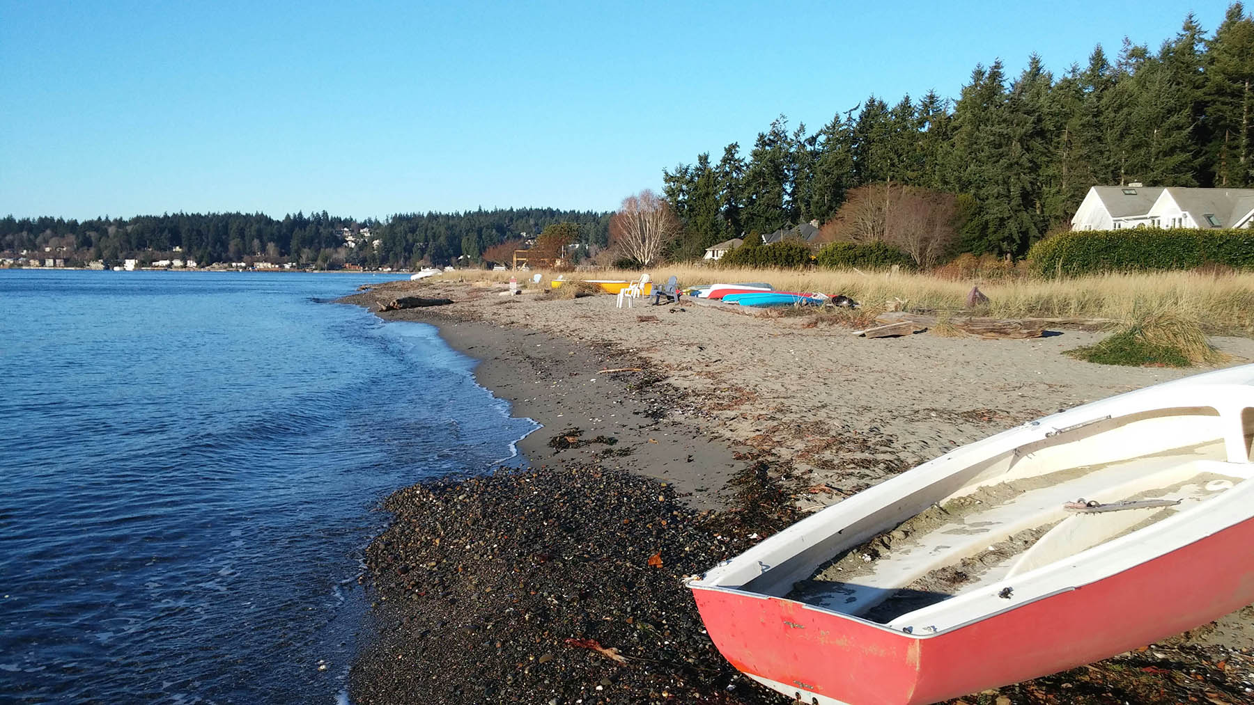 Tides Report Bainbridge Island, WA MyCoast