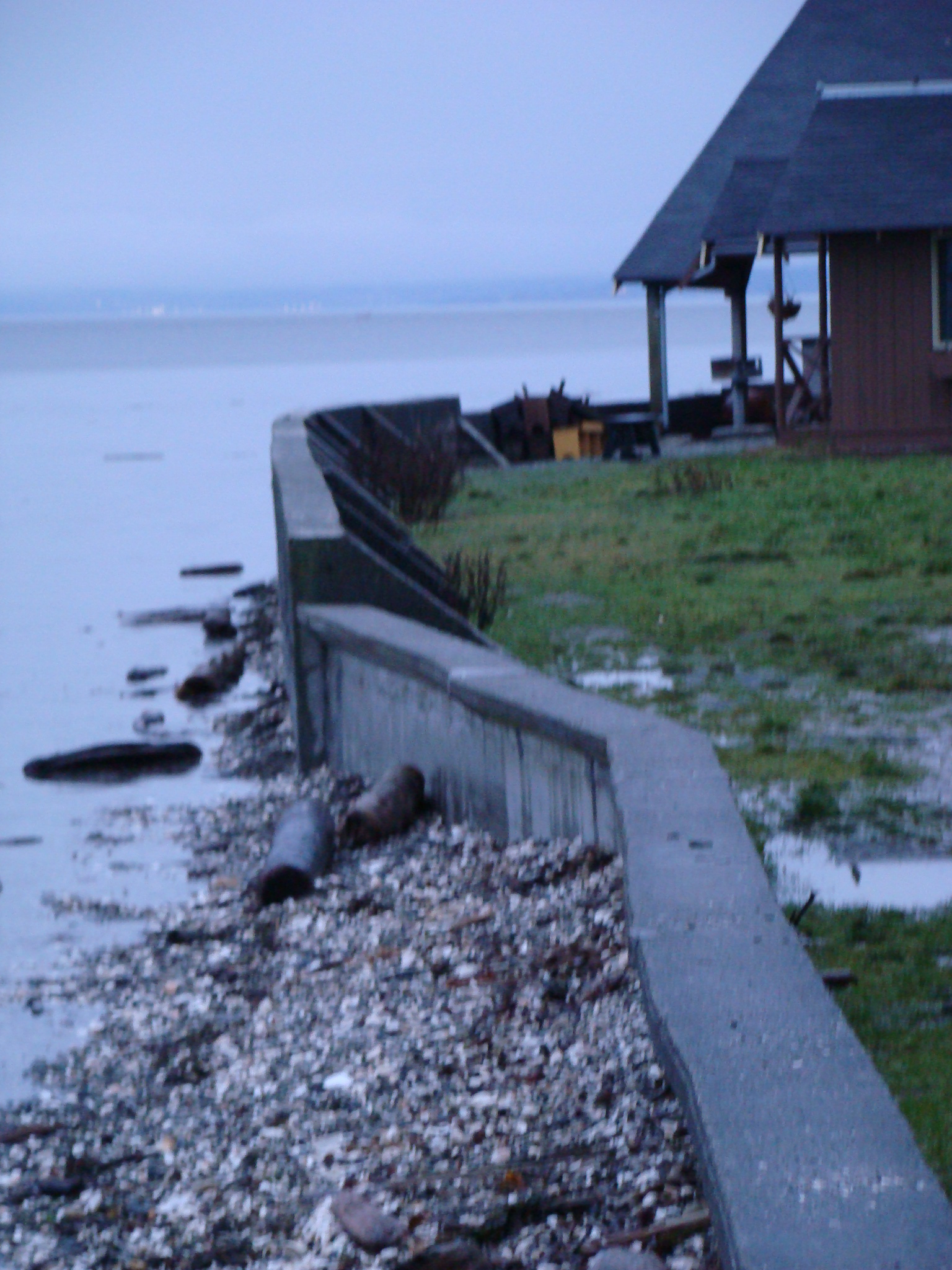 Camano Island Tide Chart