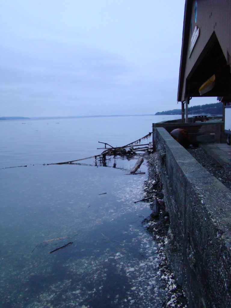 Tides Report Camano Island, WA MyCoast