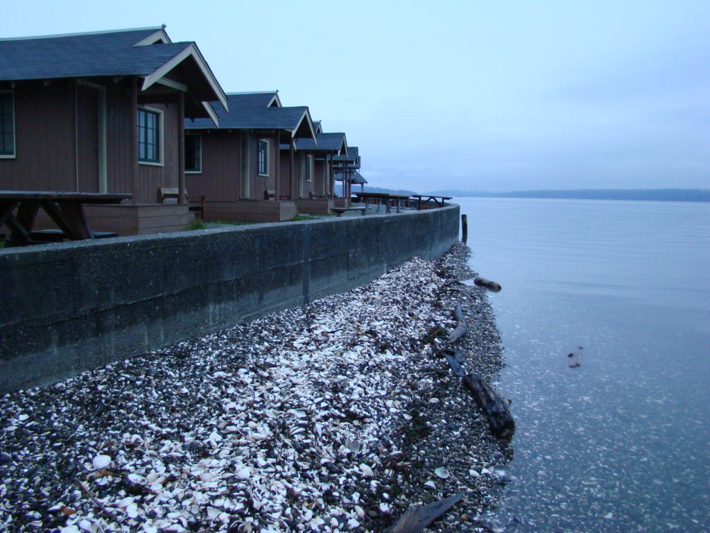 tides-report-camano-island-wa-mycoast