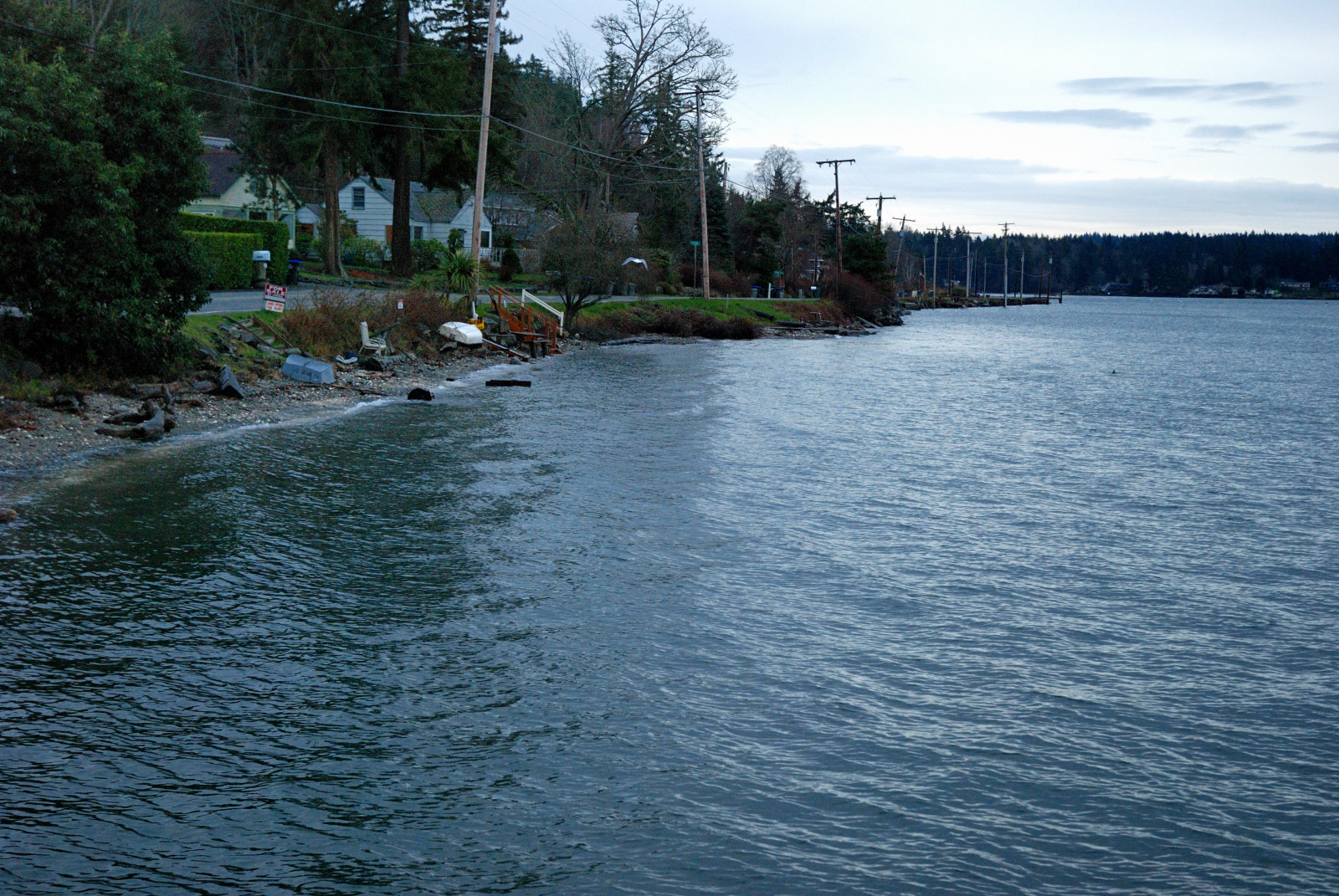 Tides Report: Bainbridge Island, WA - MyCoast