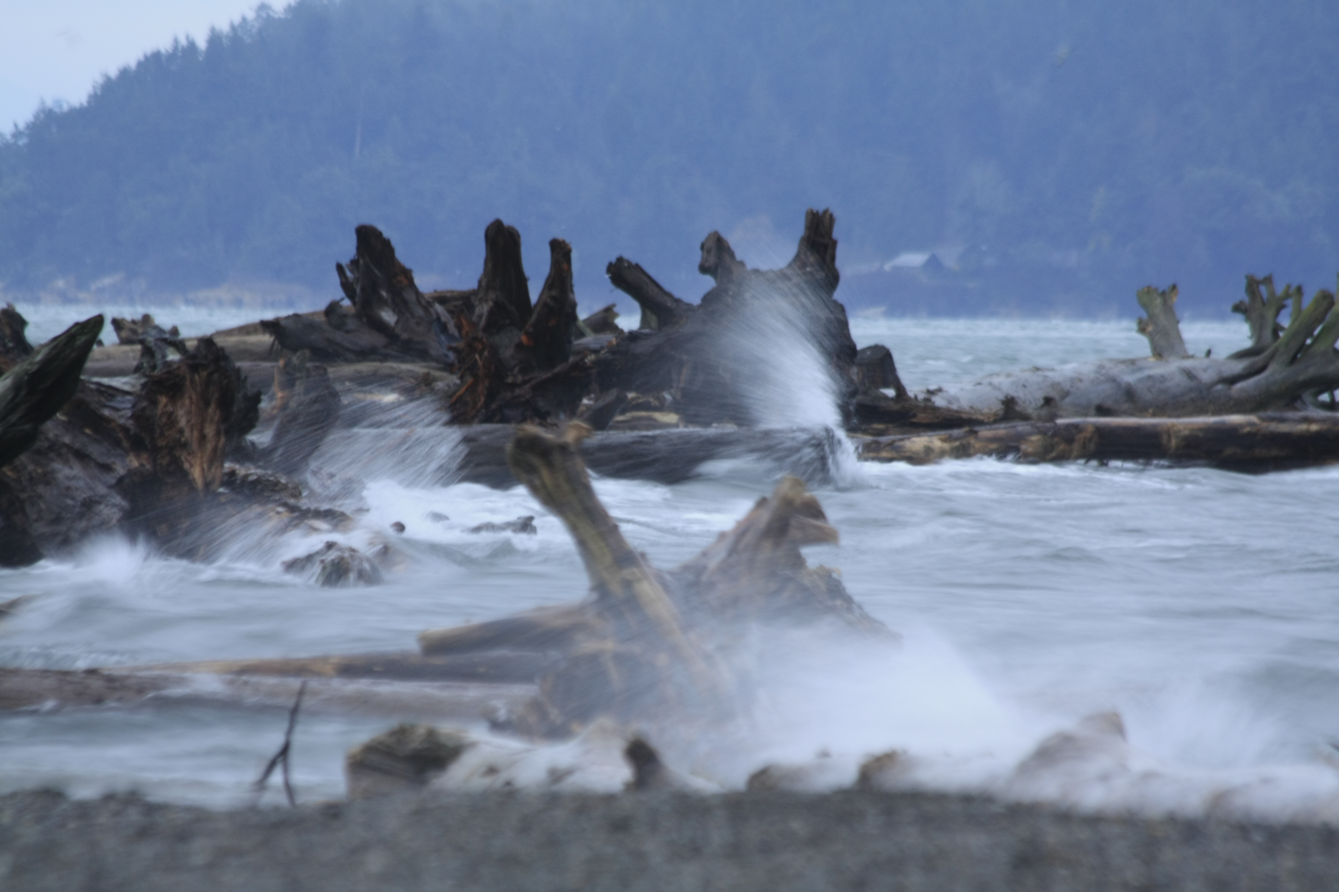 Tides Report Oak Harbor, WA MyCoast