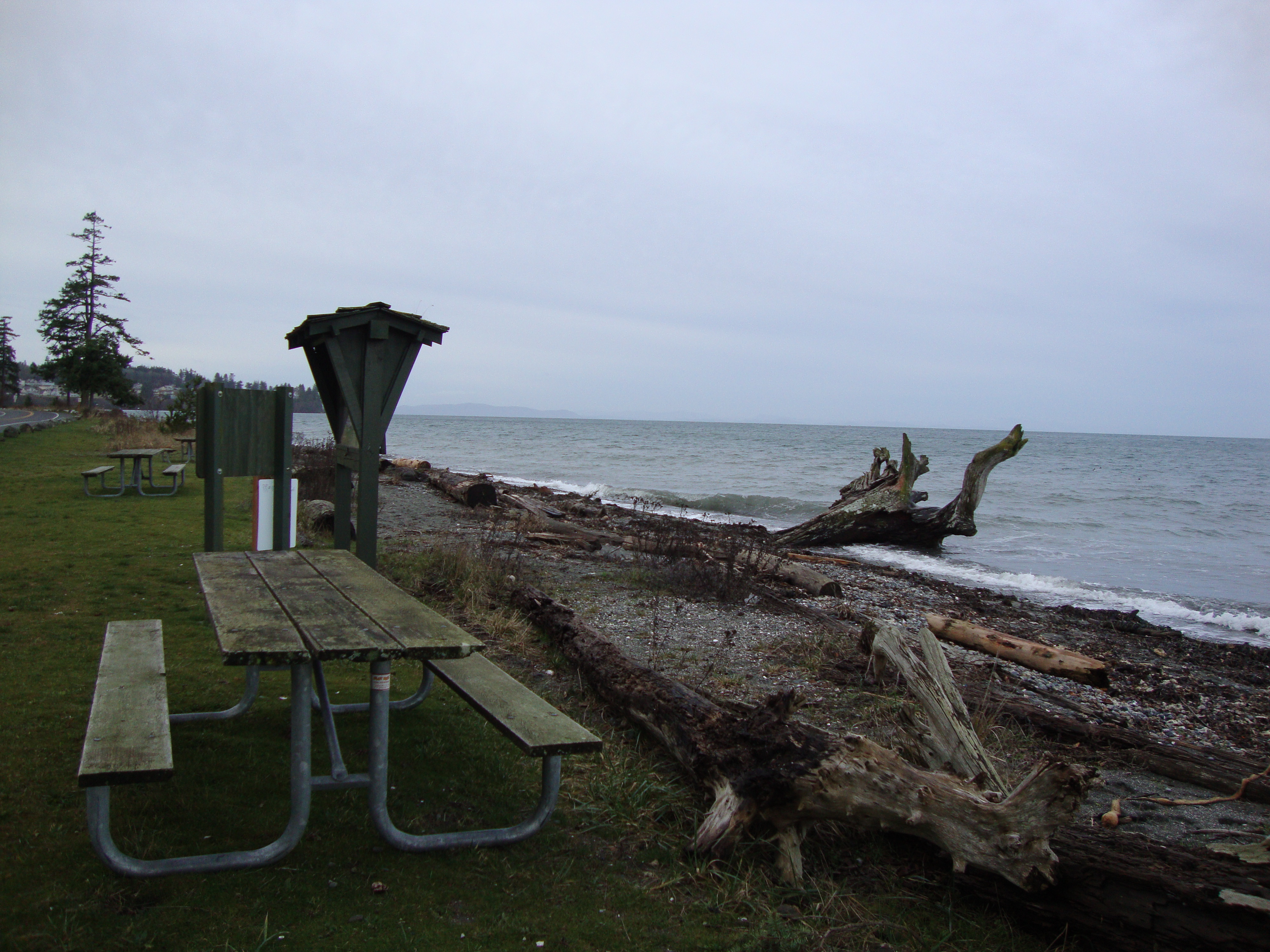 Tides Report Blaine, WA MyCoast