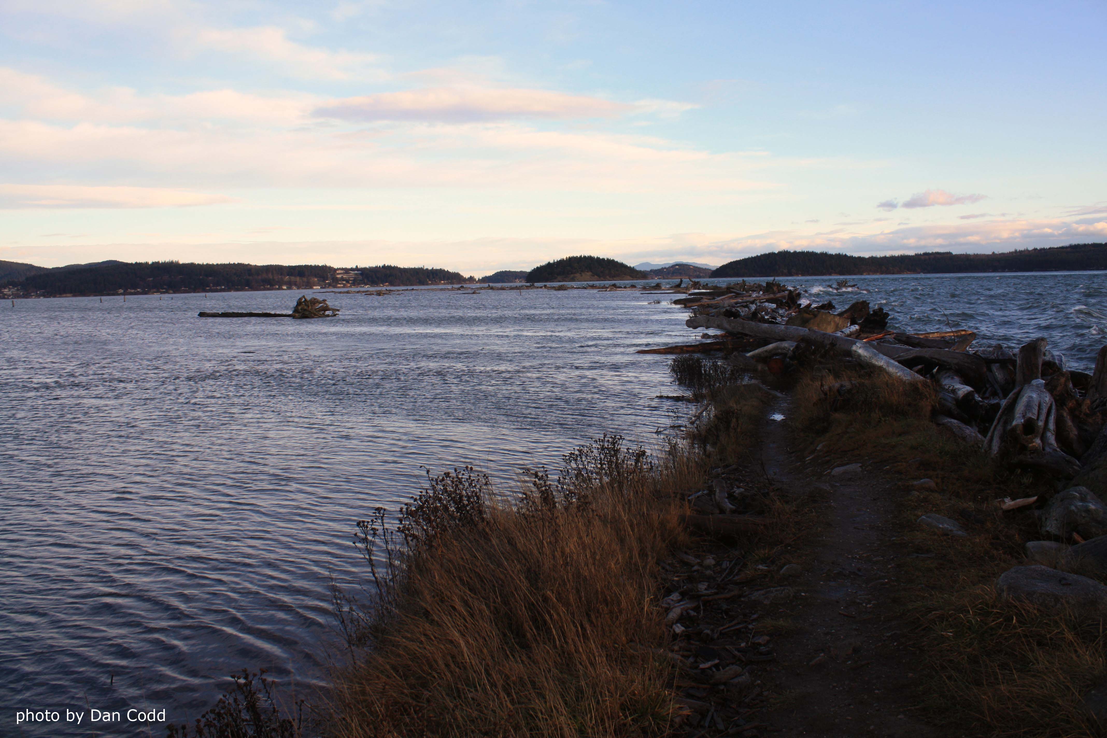 Tides Report: Anacortes, WA - MyCoast