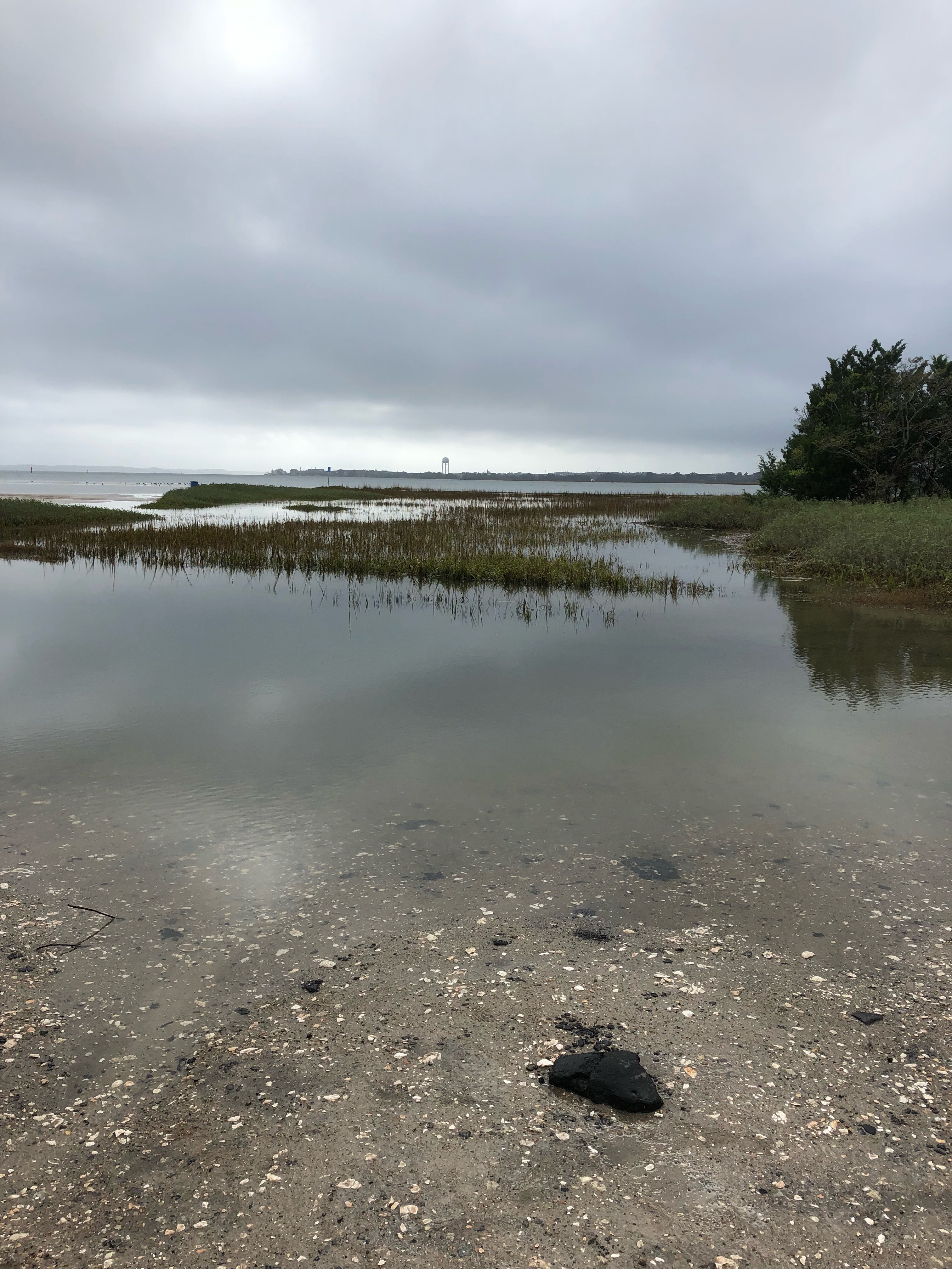 Tides Report Port Royal, SC MyCoast