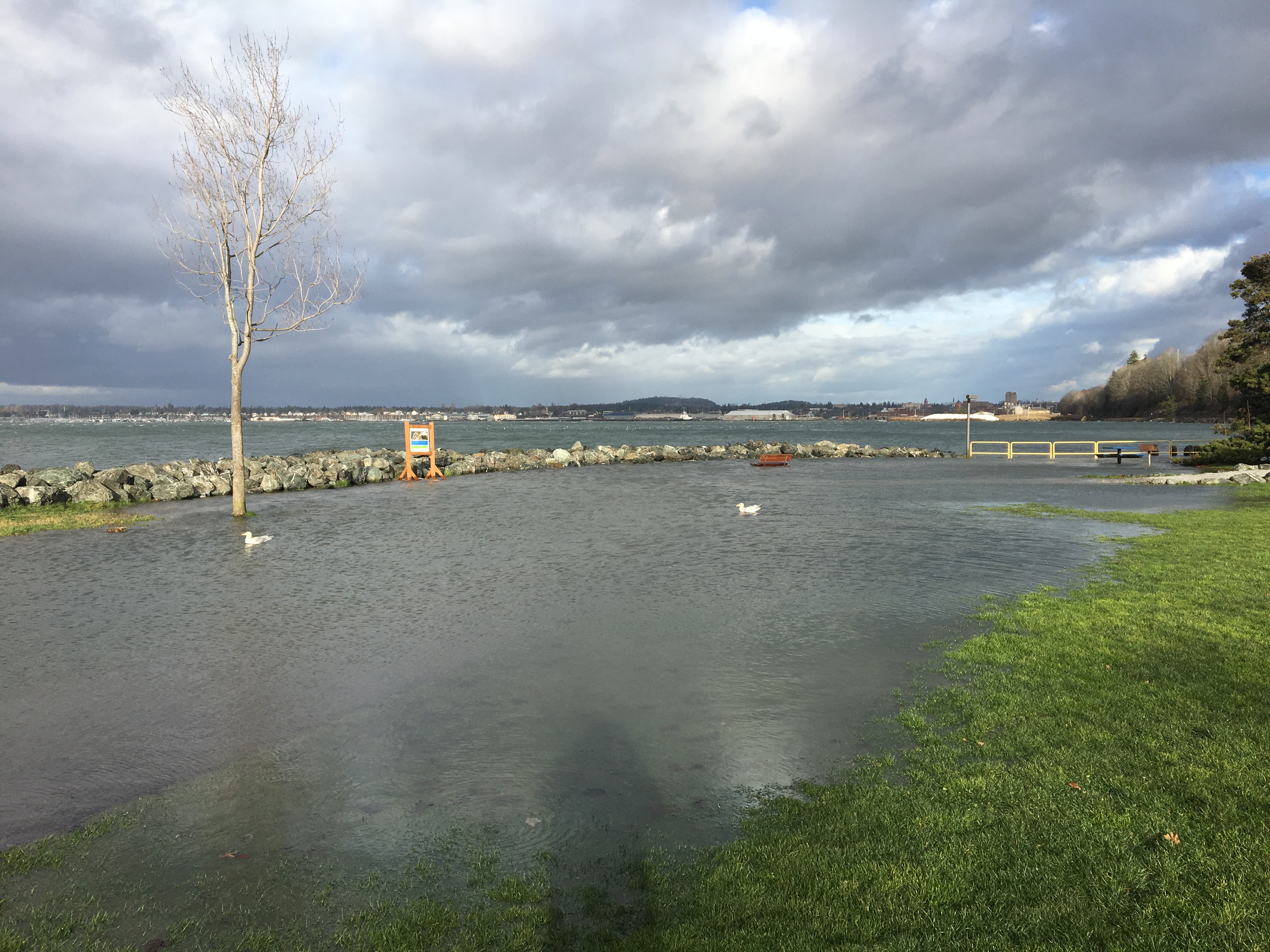 Tides Report Bellingham, WA MyCoast