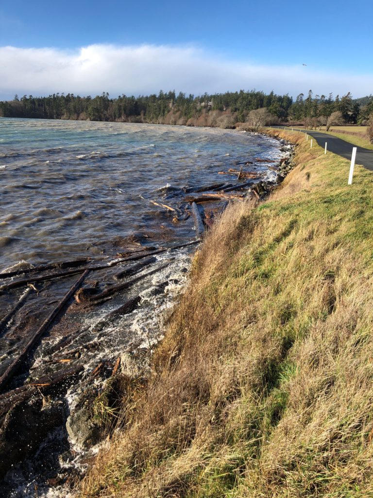 tides-report-friday-harbor-wa-mycoast