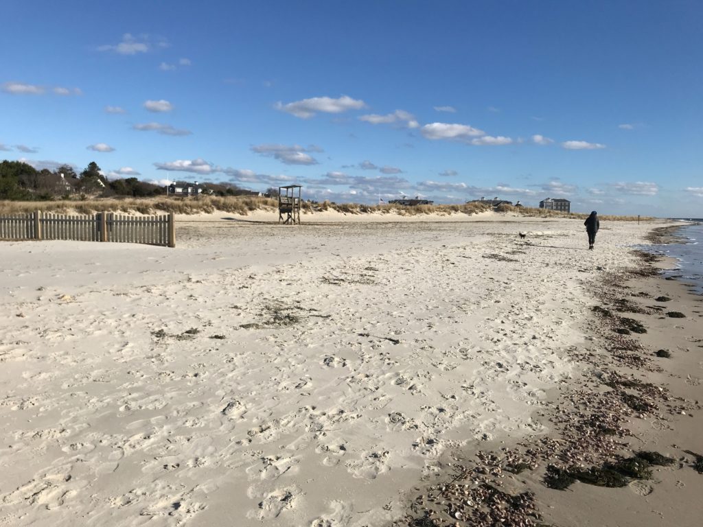 Storms Report Harwich, MA MyCoast