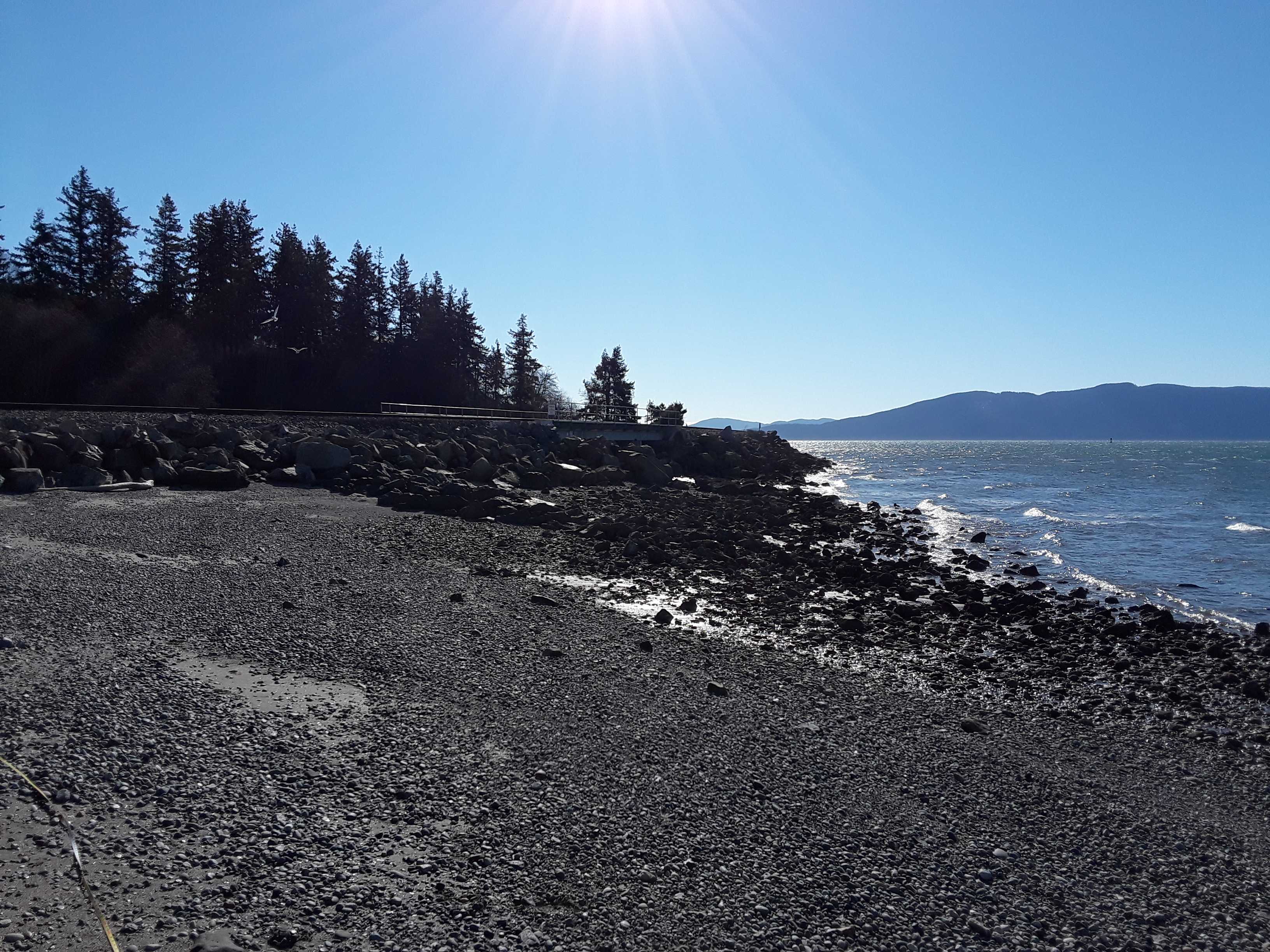 Beach Change Report: Bellingham, WA - MyCoast