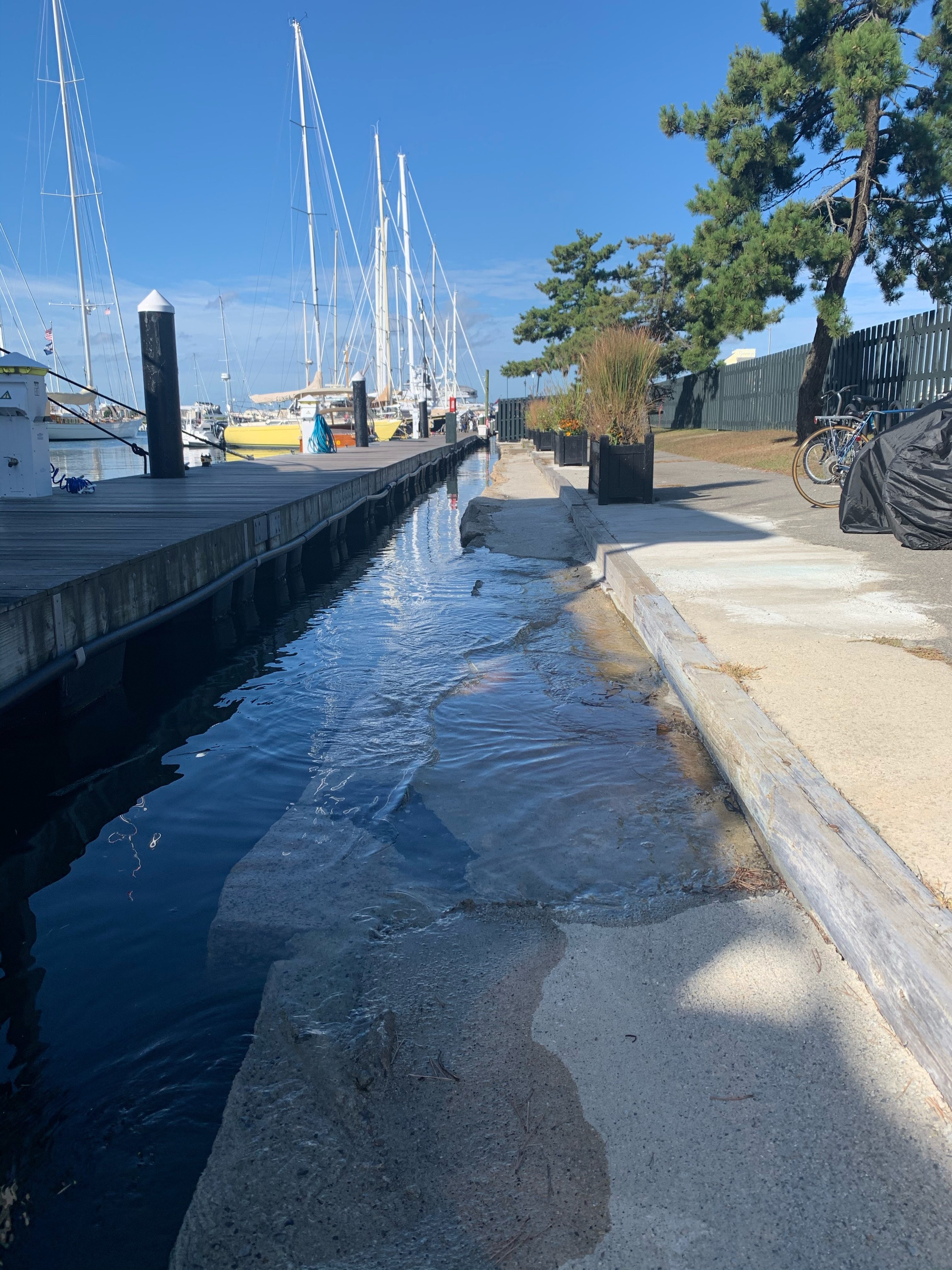 Tides Report Newport, RI MyCoast