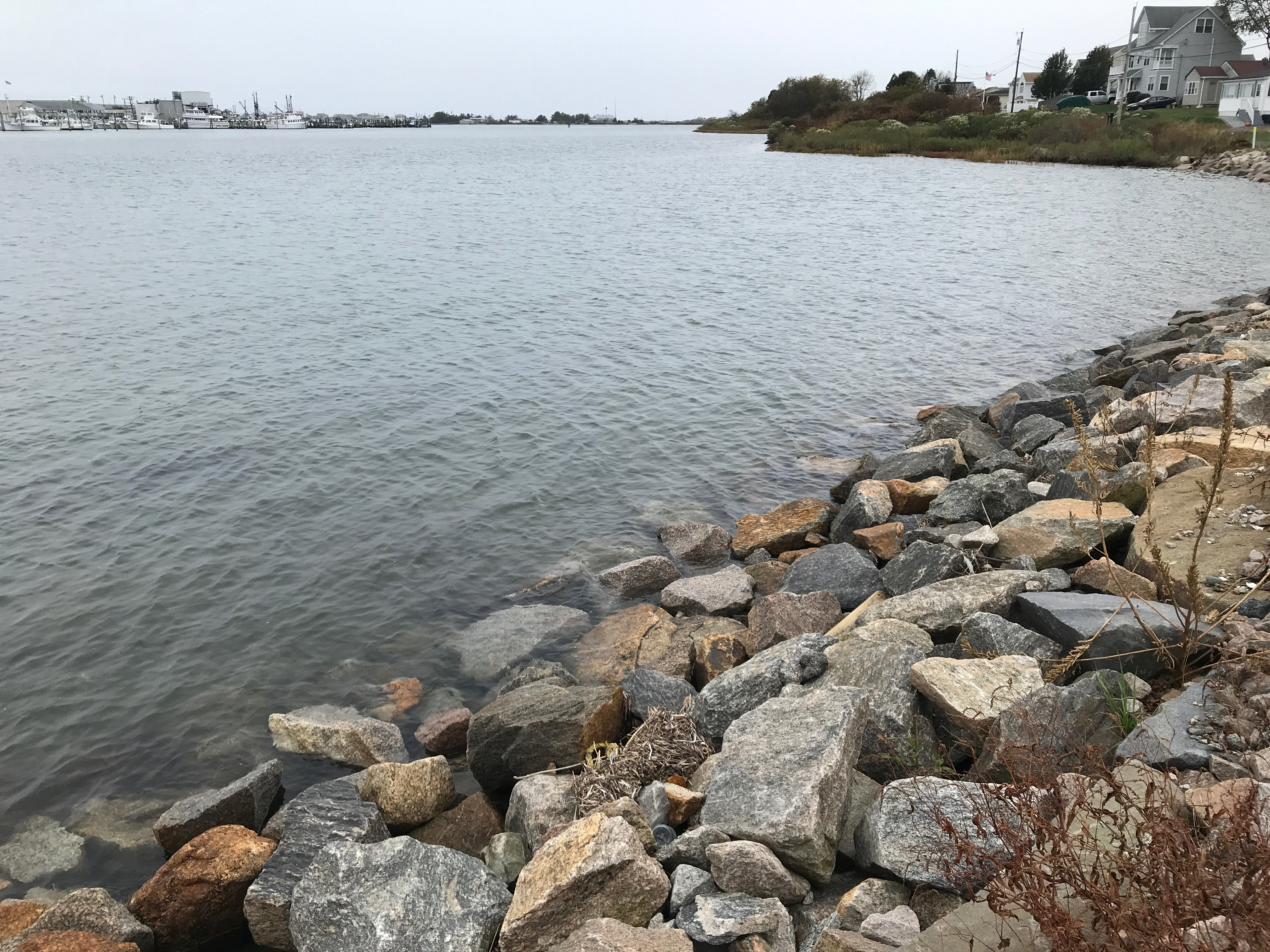 tides-report-narragansett-ri-mycoast