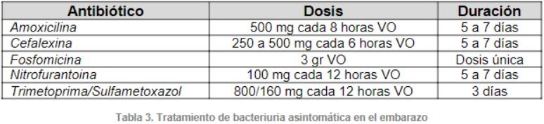 Imagen Responsiva