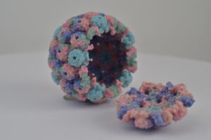 Rita Allen Foundation Scholar Luis Villarreal has studied how viruses such as polyomaviruses establish and maintain persistent relationships with their mammalian hosts. Shown here is a 3-D printed model of a polyomavirus capsid. (Image: Flickr, NIH/NIAID)