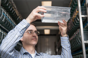 David Prober is a 2010 Rita Allen Foundation Scholar and an Assistant Professor of Biology at the California Institute of Technology. Here, Prober examines a zebrafish—his laboratory uses this species as a model for understanding sleep. (Photo: Caltech)