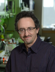Joel Pomerantz