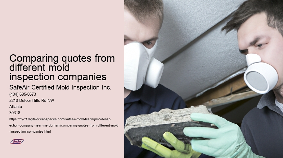 Comparing quotes from different mold inspection companies