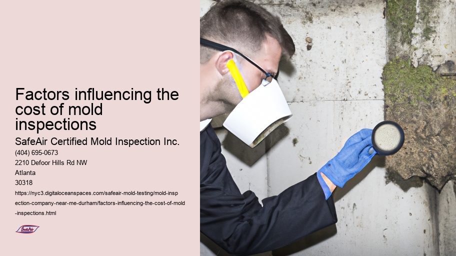 Factors influencing the cost of mold inspections