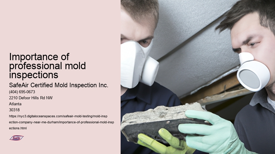 Importance of professional mold inspections