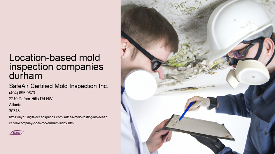 Location-based mold inspection companies durham