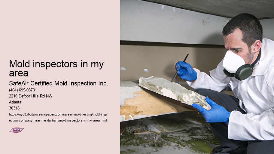 Mold inspectors in my area