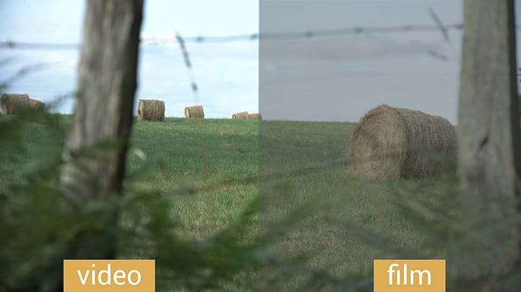 URSA Mini Pro 4.6k Dynamic Range