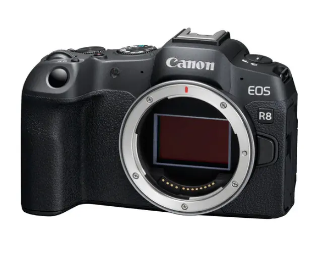 Câmera Canon EOS R8 Mirrorless
