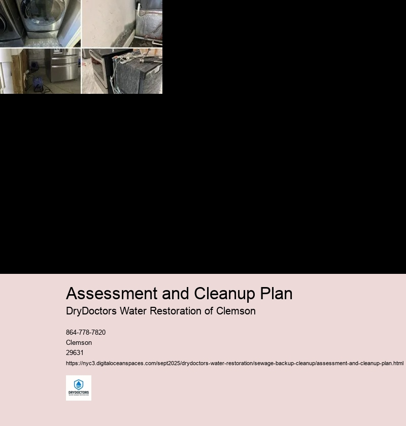 Assessment of the Sewage Backup