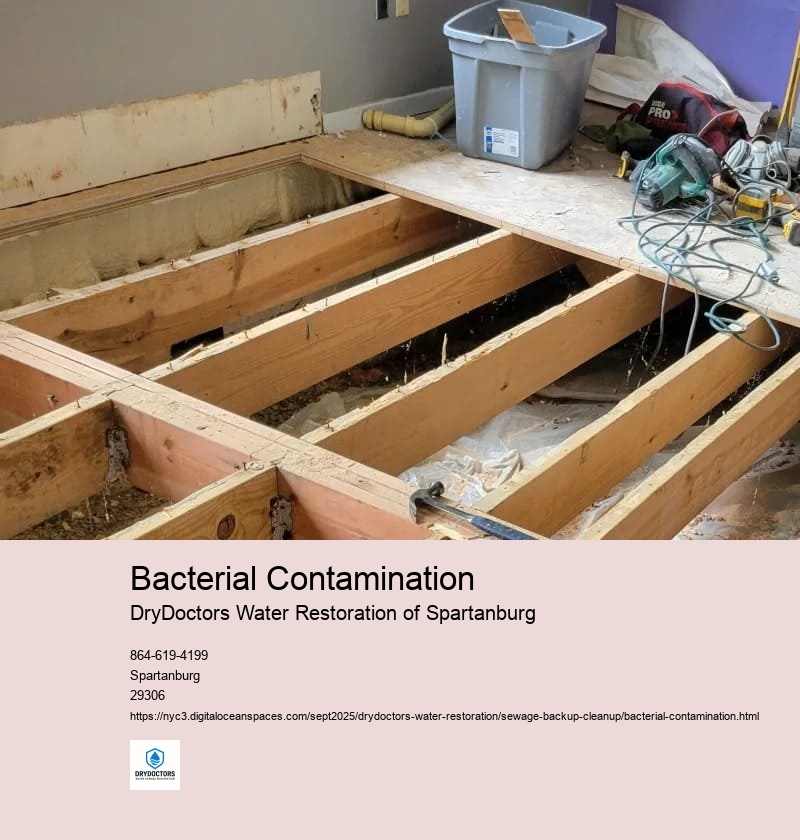 Health Risks Associated with Bacterial Contamination