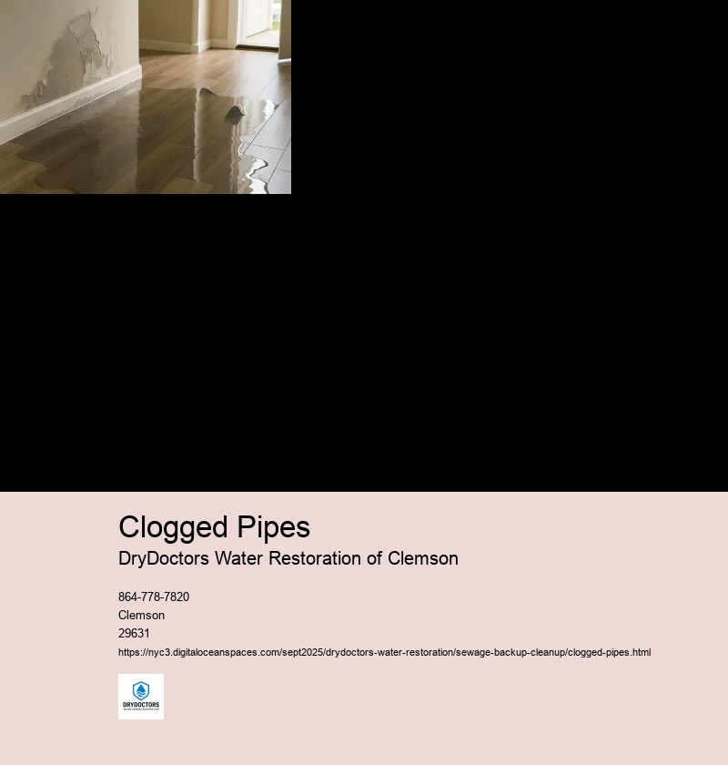 Signs of a Clogged Pipe