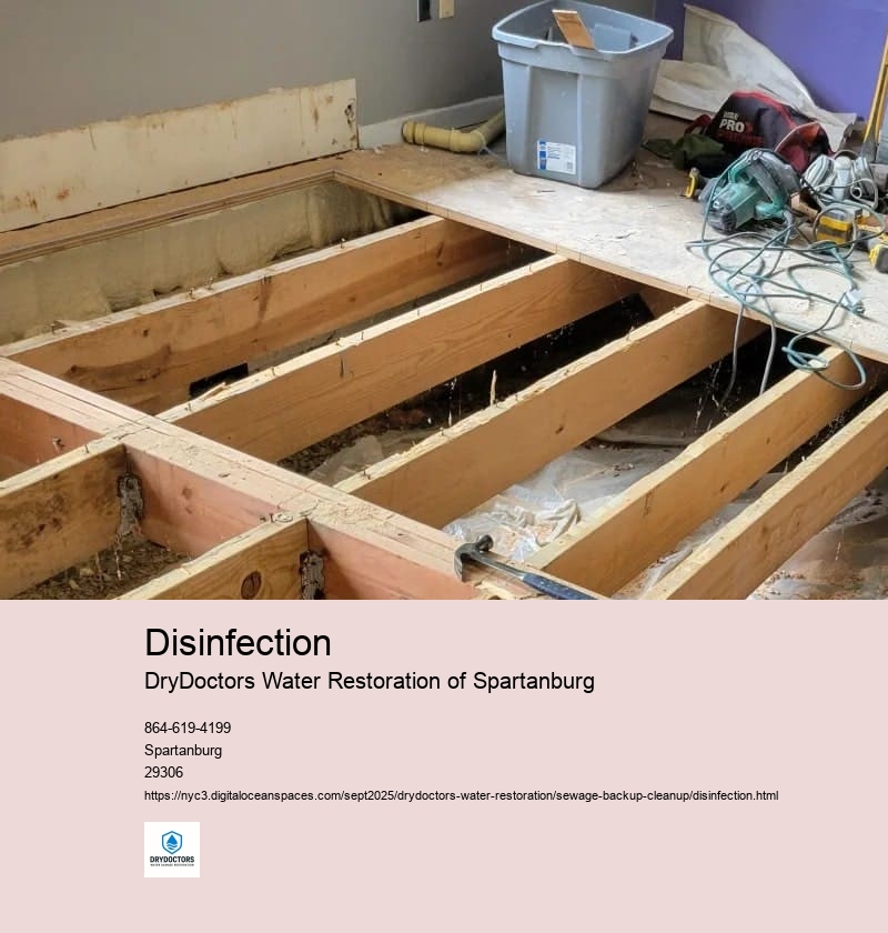 Disinfection Methods for Sewage Backup Cleanup