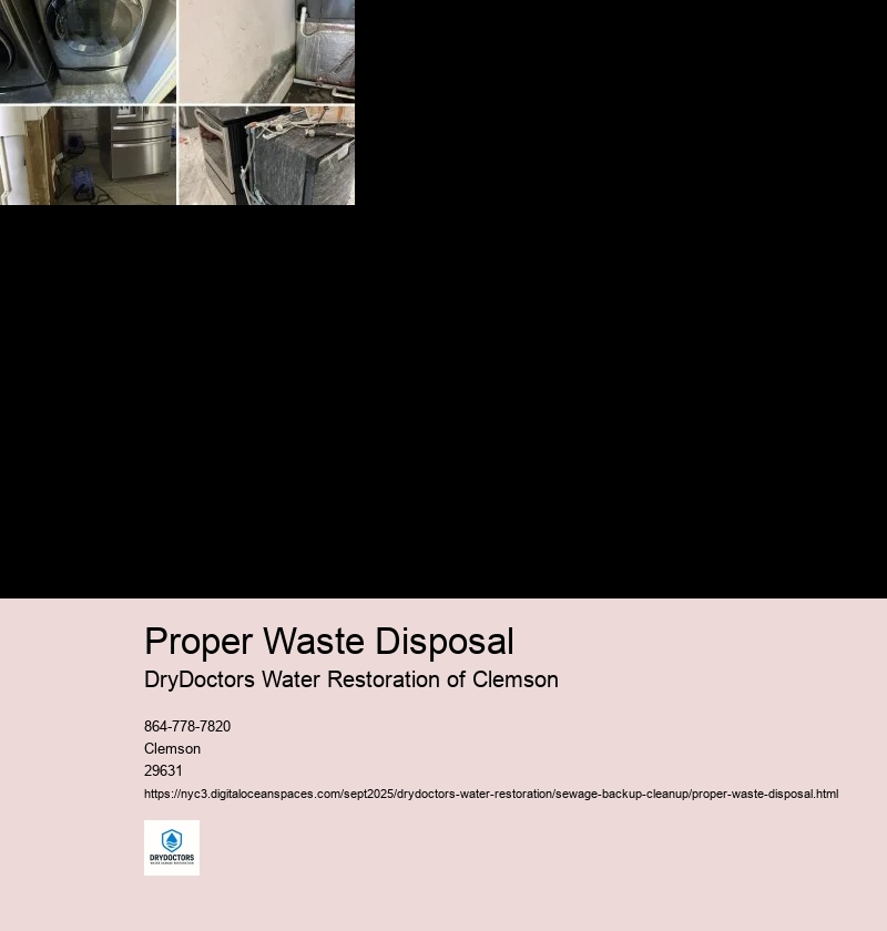 Proper Personal Protective Equipment (PPE)