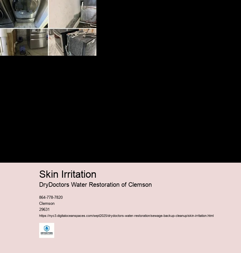 Common Causes of Skin Irritation During Sewage Backup Cleanup