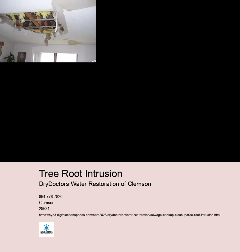 Impact of Tree Root Intrusion on Sewer Lines
