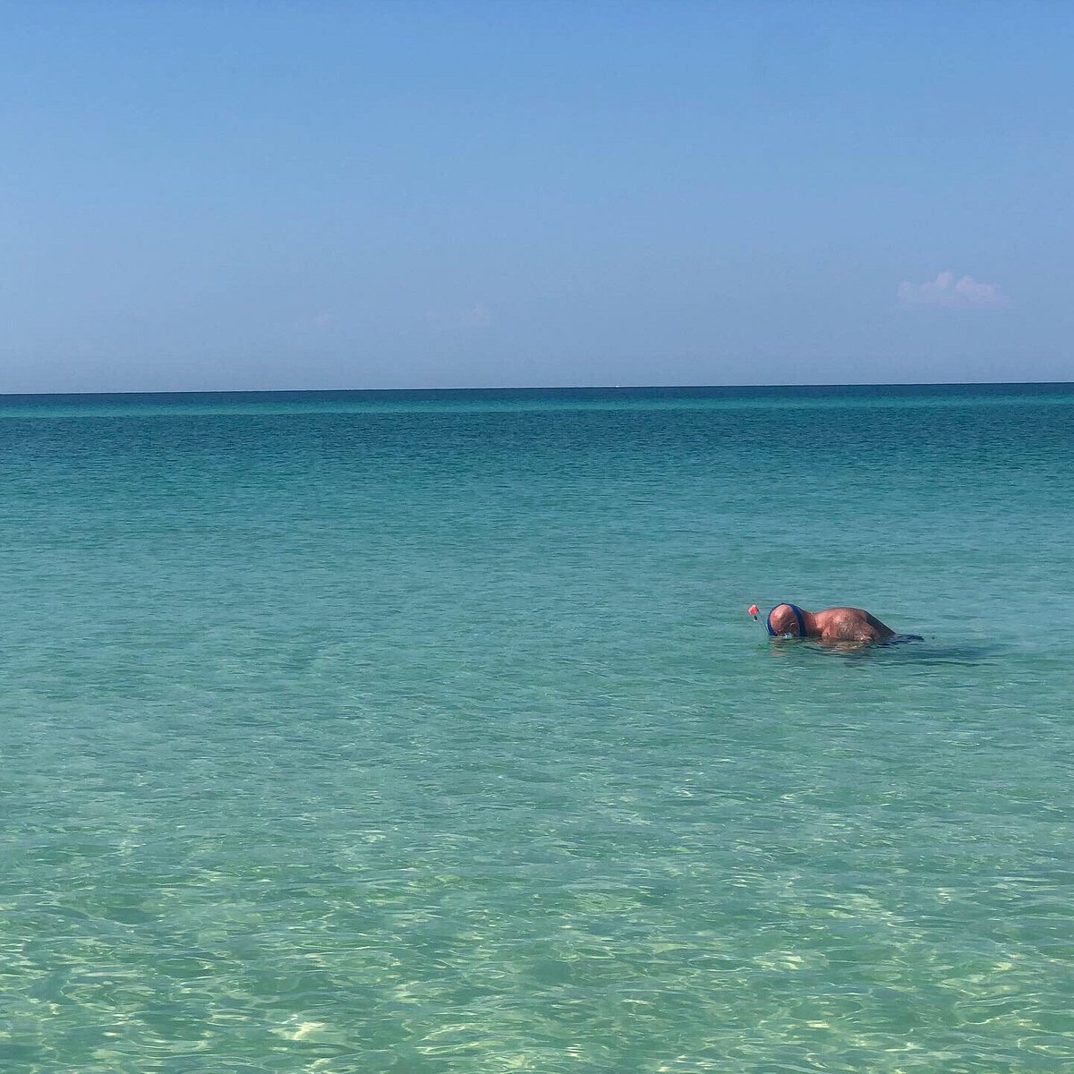 Shell Island Tour Georgetown Sc