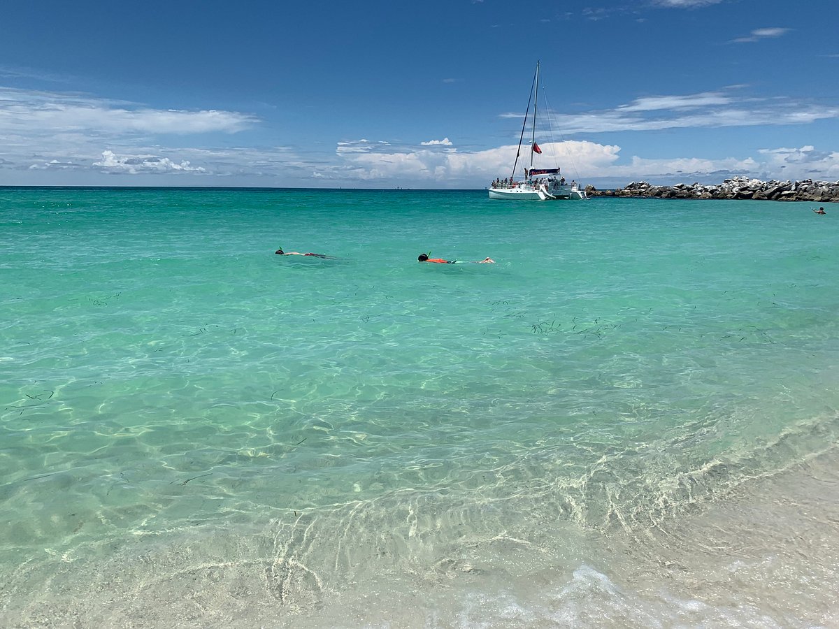 Shell Island Tour Georgetown Sc